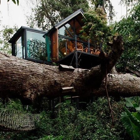 Villa Wilderness Treehouse Doi Saket Exterior foto